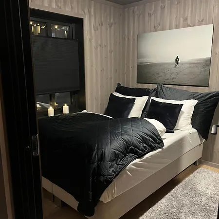 Brand New House Close 2 Skiresort