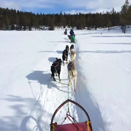 Brand New House Close 2 Skiresort * Hemsedal