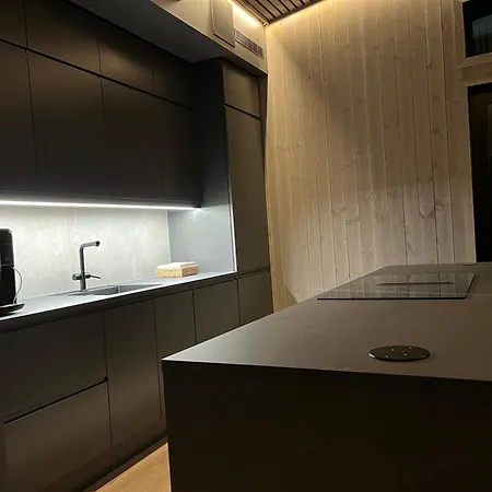 Дом отдыха Brand New House Close 2 Skiresort Хемседал